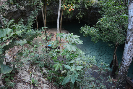 Grand cenote is located 4 km from Tulum in Yucatan peninsula, Mexico.の写真素材
