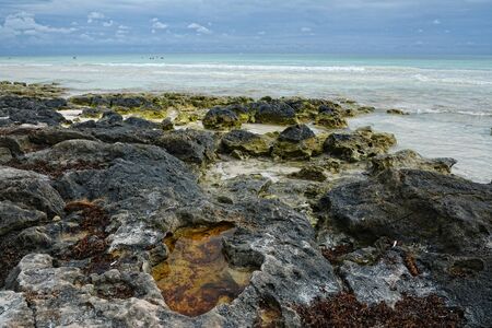 This photo was taken on beach near Tulum  in Mexicoの写真素材