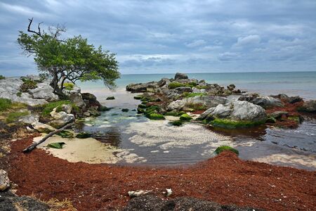 This photo was taken near Tulum  in Mexicoの写真素材