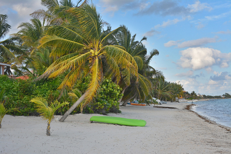 This photo was taken on beach near Tulum  in Mexicoの写真素材
