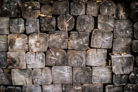 Firewood Pile Background  Wood Cut Logs Backdrop の写真素材