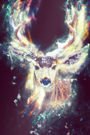 Fantasy Deer Concept Illustration. Mule Deer Abstractionの写真素材