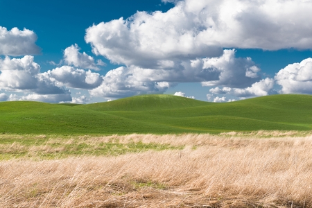 The Perfect Nature Landscape. Eastern Washington State. Step-Toe Area, United States of America.の写真素材