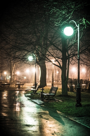 Spring Rain in the Park at Night. Vertical Photo. Illuminated City Park.の写真素材