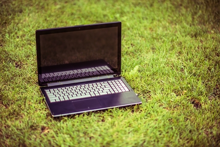 Laptop on the Grass. Computer Work in the Nature Concept.の写真素材