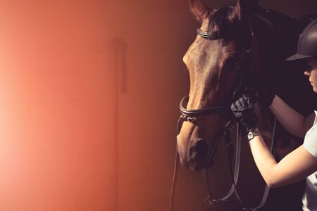 Woman fixing horse bridleの写真素材