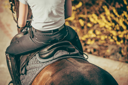 Rear Top View of Female Rider Sitting in the Saddle on Fully Equipped Brown Horse. Equestrian Equipment Closeup.の写真素材