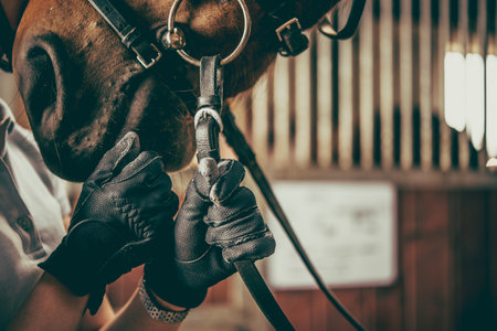 Female Caucasian Rider Standing Face to Face with a Horse Showing Love, Care and Appreciation Before Horseback Riding. Equestrian Friends. Stable Stall in the Background.の写真素材