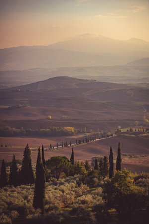 Tuscany fields and roads at the sunset. Italy.の写真素材