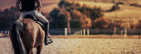 Horse rider on a parkour after equestrian training.の写真素材