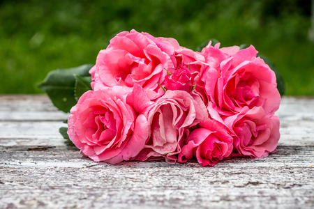 roses  on wooden boardの写真素材