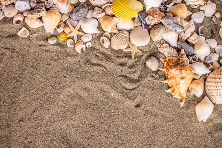 Composition of sand, shells, stones and starfish.の写真素材