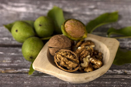 walnuts with green leavesの写真素材