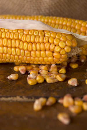 ripe corn on a wooden surfaceの写真素材