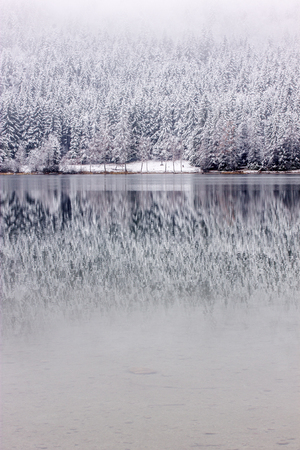 winter landscapeの写真素材