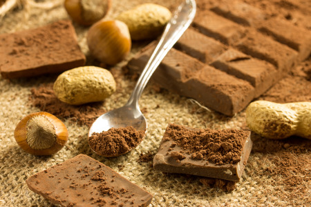 Cocoa Powder,haselnut and Dark Chocolateの写真素材