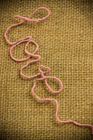 pink clews in shape of love on a  canvas backgroundの写真素材