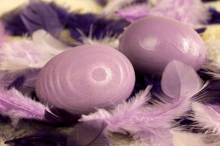 two purple easter egg with purple feathersの写真素材