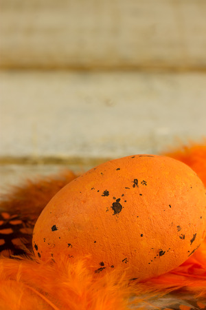 orange eater egg with colored featherの写真素材