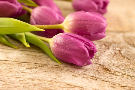 tulips on an old wooden tableの写真素材