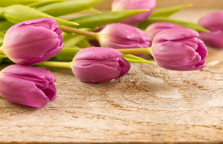 Bouquet of tulips on table, Closeup.の写真素材