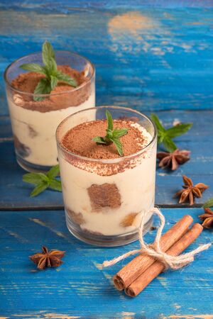 homemade tiramisu dessert with cinnamon,mint and aniseの写真素材