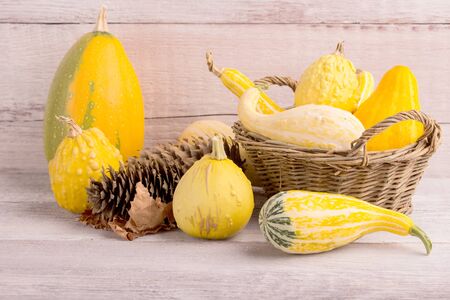 decorative pumpkins over white wooden backgroundの写真素材