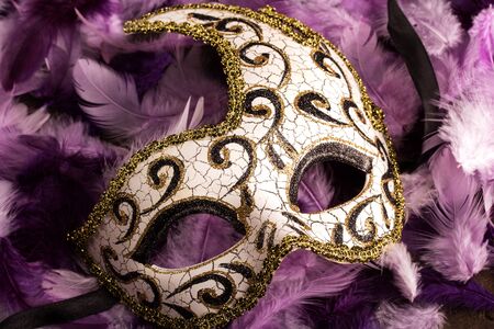 carnival mask on dark and light purple feathersの写真素材