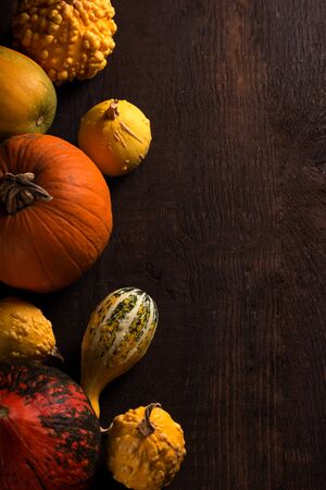 different pumkin over dark wooden background with free space for your textの写真素材