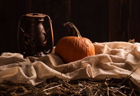 Peaceful Thanksgiving ,Fall Still Life with Mini Pumpkinsの写真素材