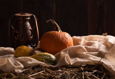 Peaceful Thanksgiving ,Fall Still Life with Mini Pumpkinsの写真素材