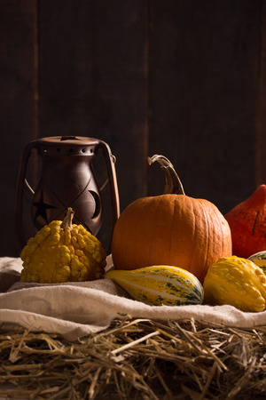 Peaceful Thanksgiving ,Fall Still Life with Mini Pumpkins,vertical compositionの写真素材