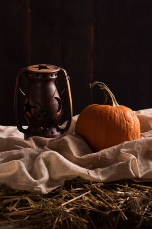 Peaceful Thanksgiving ,Fall Still Life with Mini Pumpkinsの写真素材