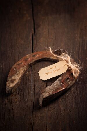 horse shoe as talisman for new yearの写真素材