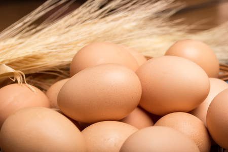 closeup of fresh eggsの写真素材