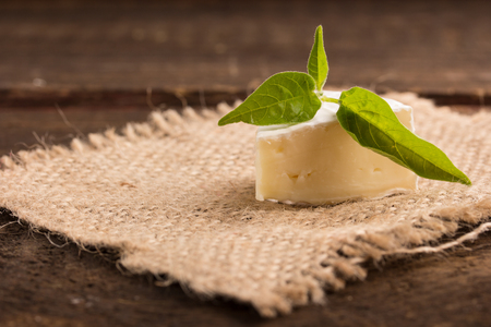 camembert cheese on a canvasの写真素材