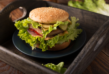 Hamburger, homemade hamburger with fresh vegetables and cheeseの写真素材