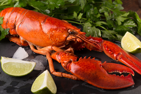 whole red lobster with ice on black slate plateの写真素材