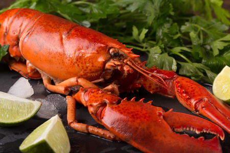 whole red lobster with ice on black slate plateの写真素材