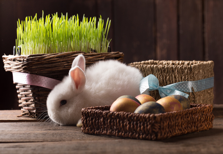 cute easter bunny with colored eggs over wooden backgroundの写真素材