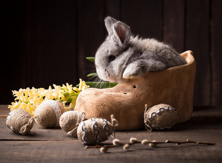 cute easter bunny with colored eggs over wooden backgroundの写真素材