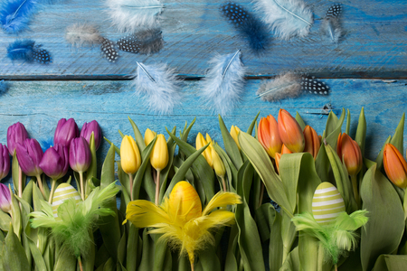 easter background with tulipsの写真素材