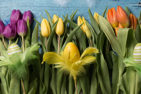 easter background with tulipsの写真素材