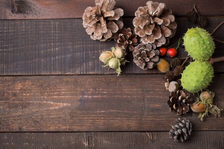 autumn background with pinecone,acorn,chestnut etcの写真素材