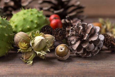 autumn background with pinecone,acorn,chestnut etcの写真素材