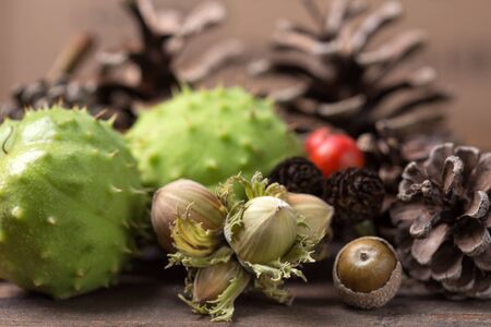autumn background with pinecone,acorn,chestnut etcの写真素材