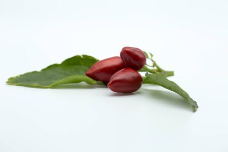 chilli peper over white backgroundの写真素材