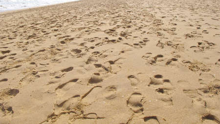 footprints in the sand of the beach with the sea in view in summer timeの写真素材