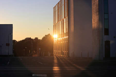 urban view of sunlight from the setting sun reflecting off the glass of a building with bird passing...