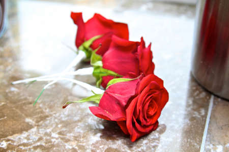 three roses to be used as button holes for a wedding sat in a row sat on a tableの写真素材